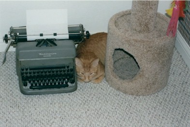The page in the typewriter may very well say, "help.  The humans are insane."  It also may simply say, "FEED ME."